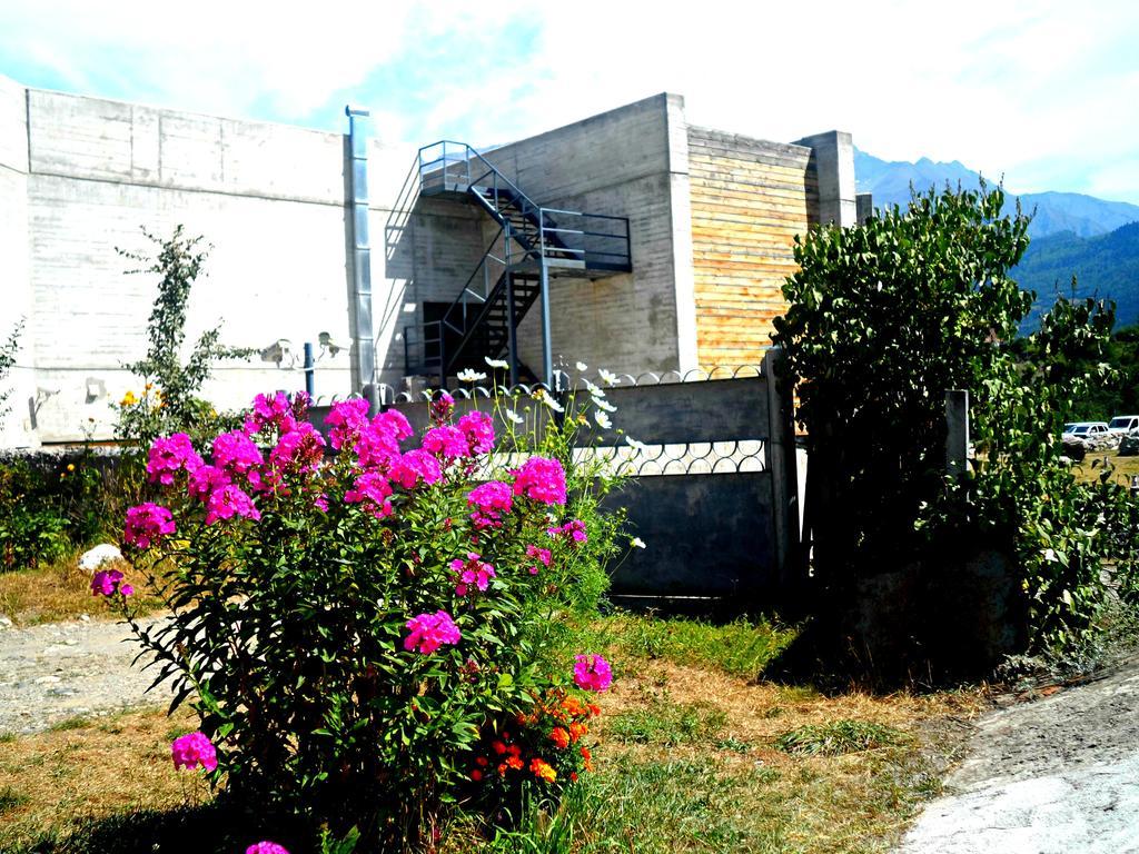 Guesthouse Am Museum Guest house *